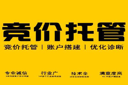 百度推广活动策划，实战案例展示